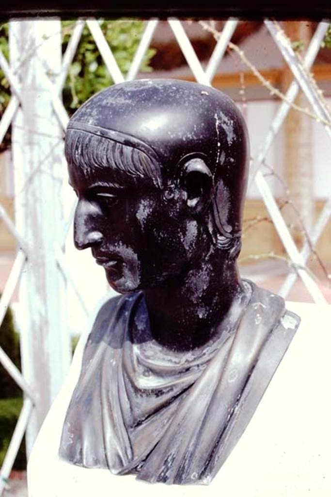 Getty Villa, Malibu, Spring 1982. Garden area. Reproduction bronze herm of man wearing a cap. Photo by Stanley A. Jashemski.
Source: The Wilhelmina and Stanley A. Jashemski archive in the University of Maryland Library, Special Collections (See collection page) and made available under the Creative Commons Attribution-Non Commercial License v.4. See Licence and use details.
J80f0430